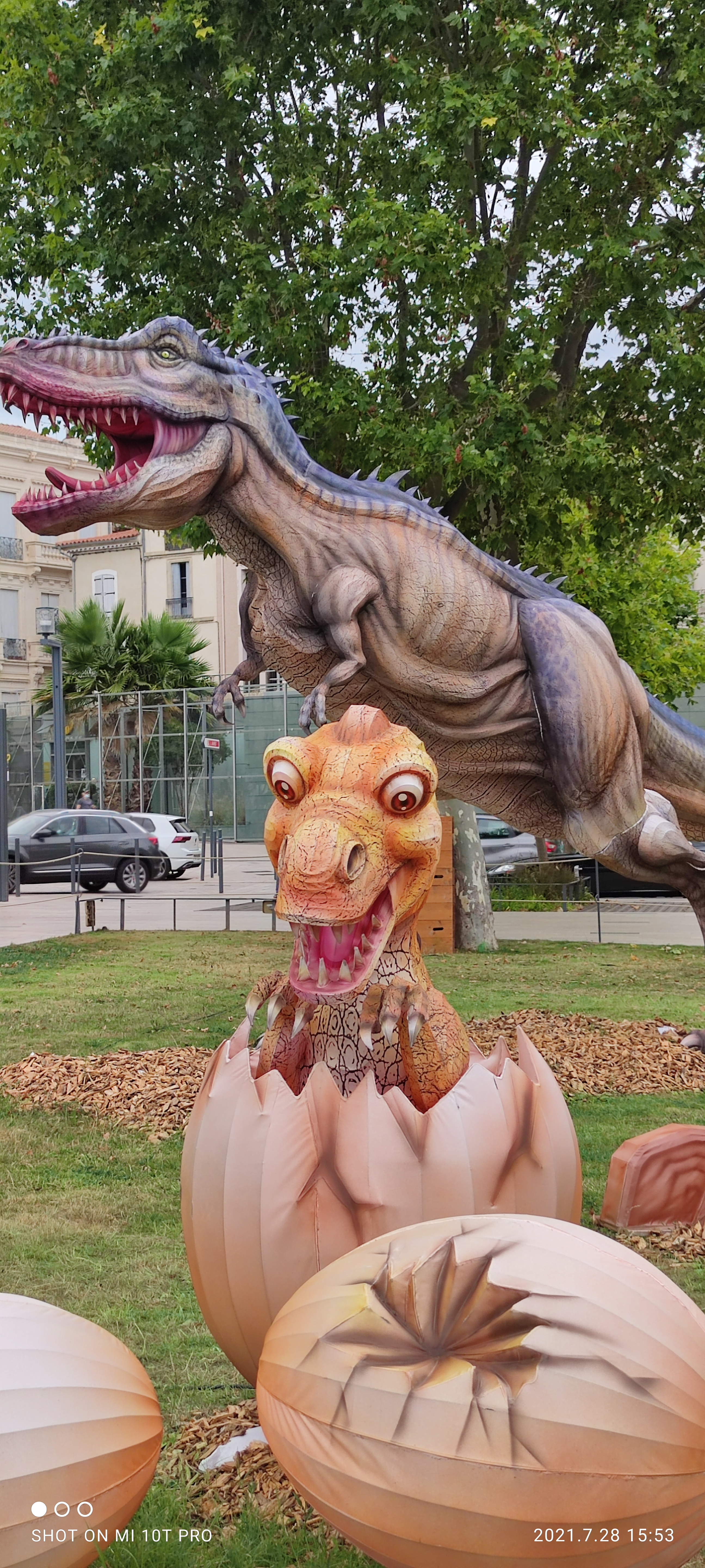 Photo n° 14 de l'avis de Bruno.o fait le 29/07/2021 à 12:42