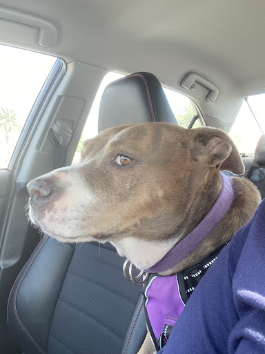 7150 N 110th Ave #2, Glendale, AZ 85307, USA