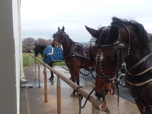 Gift Shop «Country Housewares Store», reviews and photos, 589 Musser School Rd, Leola, PA 17540, USA