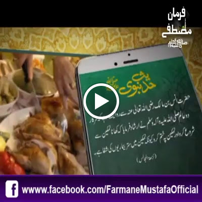 Grocery Store «Indopak Grocery & Halal Meat», reviews and photos, 10732 FM 1960, Houston, TX 77070, USA