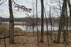 Asylum Lake Preserve image