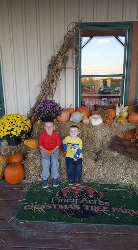 Christmas Tree Farm «Piney Acres», reviews and photos, 1115 E 1000 N, Fortville, IN 46040, USA