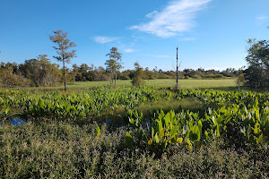 Eagle Lakes Community Park