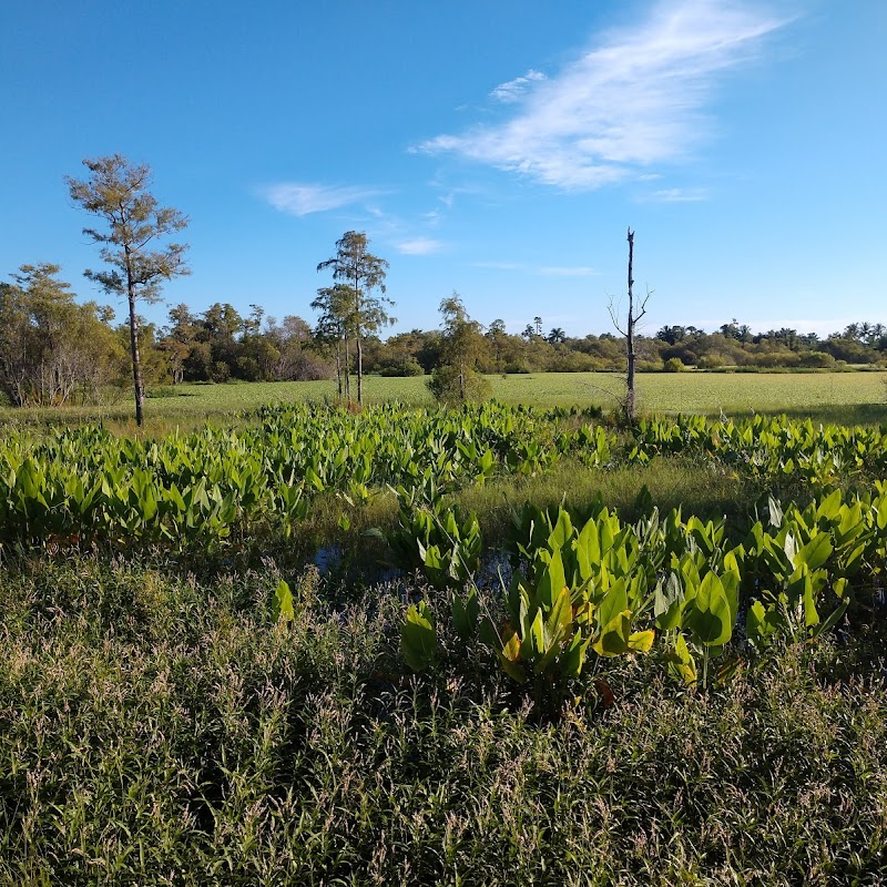 Eagle Lakes Community Park