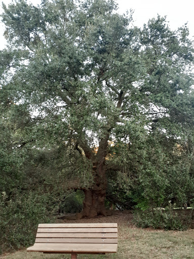 Park «Holmes Park», reviews and photos, Twin Lake Rd, Greenville, SC 29609, USA