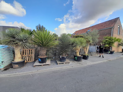 Green id Kloosterhoek 29a, 9790 Wortegem-Petegem, Belgique