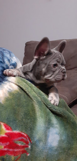 Pet Supply Store «Petco Animal Supplies», reviews and photos, 300 Quaker Ln #3, Warwick, RI 02886, USA