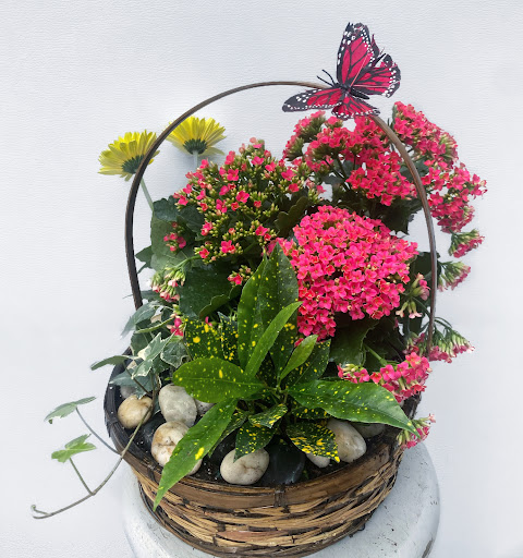 Florist «Brunettos», reviews and photos, 6227 Santa Teresa Blvd, San Jose, CA 95119, USA