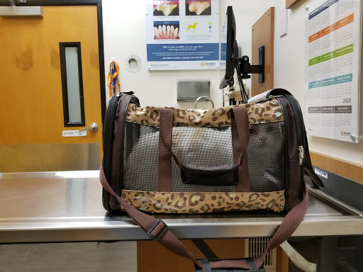 Pet Supply Store «PetSmart», reviews and photos, 70 Worcester-Providence Turnpike #240, Millbury, MA 01527, USA