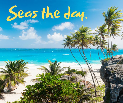 Travel Agency «Bliss Travel Service», reviews and photos, 971 W Hemlock Way, Chandler, AZ 85248, USA