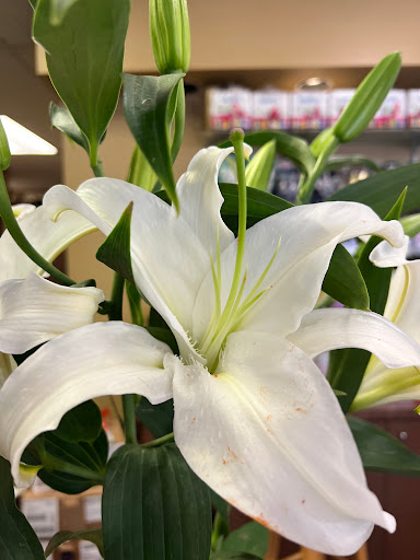 Florist «Lakeline Florist & Gifts Inc», reviews and photos, 12233 Ranch Rd 620 N #103, Austin, TX 78750, USA