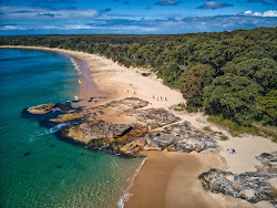 Φωτογραφία του Jibbon Beach άγρια περιοχή