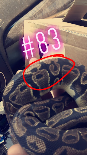 Pet Supply Store «Pet Den», reviews and photos, 1209 Nederland Ave, Nederland, TX 77627, USA