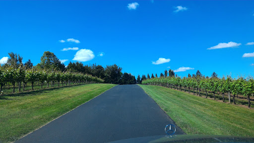 Winery «Blakeslee Vineyard Estate», reviews and photos, 20875 SW Chapman Rd, Sherwood, OR 97140, USA