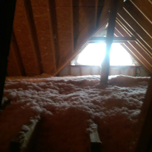 Attic Kings, 1052 Waverly Dr, Lawrenceville, GA 30046, Pest Control Service