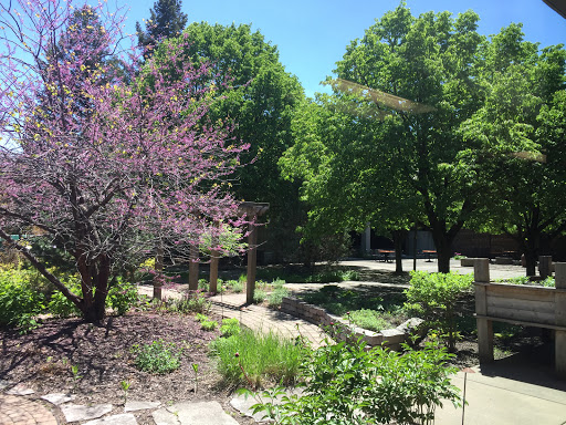 College «Hennepin Technical College», reviews and photos