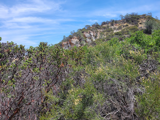 Manhattan Canyon Trail