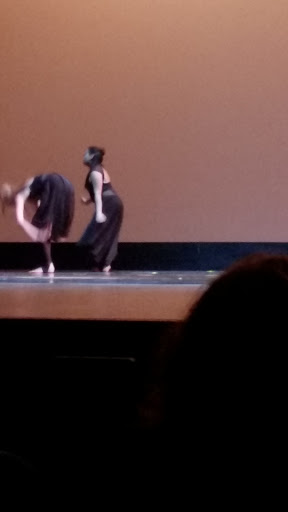 Performing Arts Theater «Shenandoah Summer Music Theatre», reviews and photos, 1460 University Dr, Winchester, VA 22601, USA