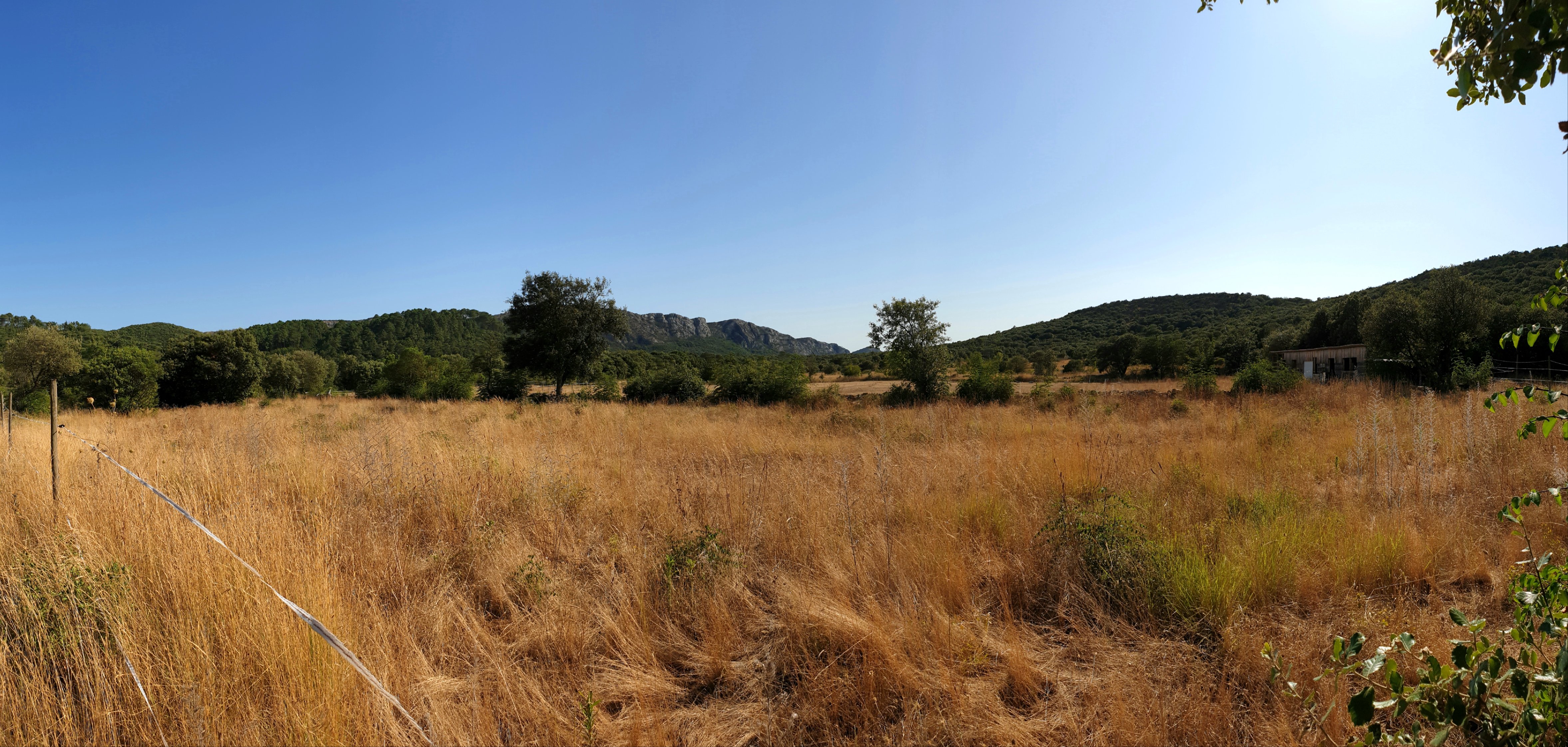 Photo n° 8 de l'avis de shotoma1. fait le 11/08/2019 à 20:03