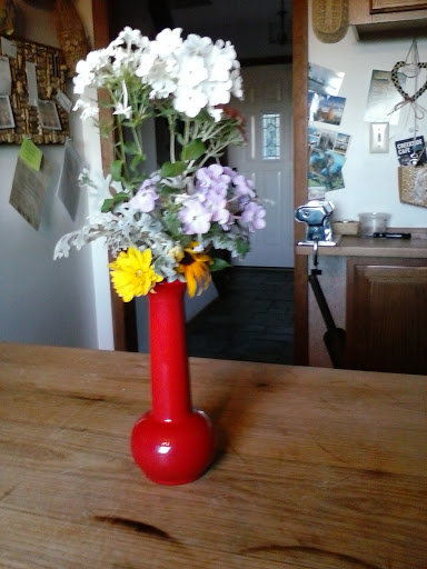 Winery «Frontenac Point Vineyard & Estate Winery», reviews and photos, 9501 NY-89, Trumansburg, NY 14886, USA