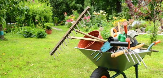 Müller Gartenpflege/Hauswartungen GmbH - Gartenbauer