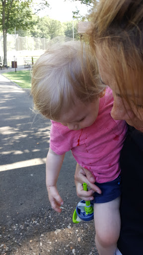 Park «Hollingsworth Park», reviews and photos, 348 Pond St, Braintree, MA 02184, USA