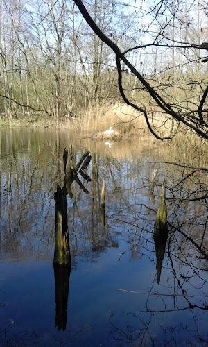 Snorrebakken 8A, 3700 Rønne, Danmark