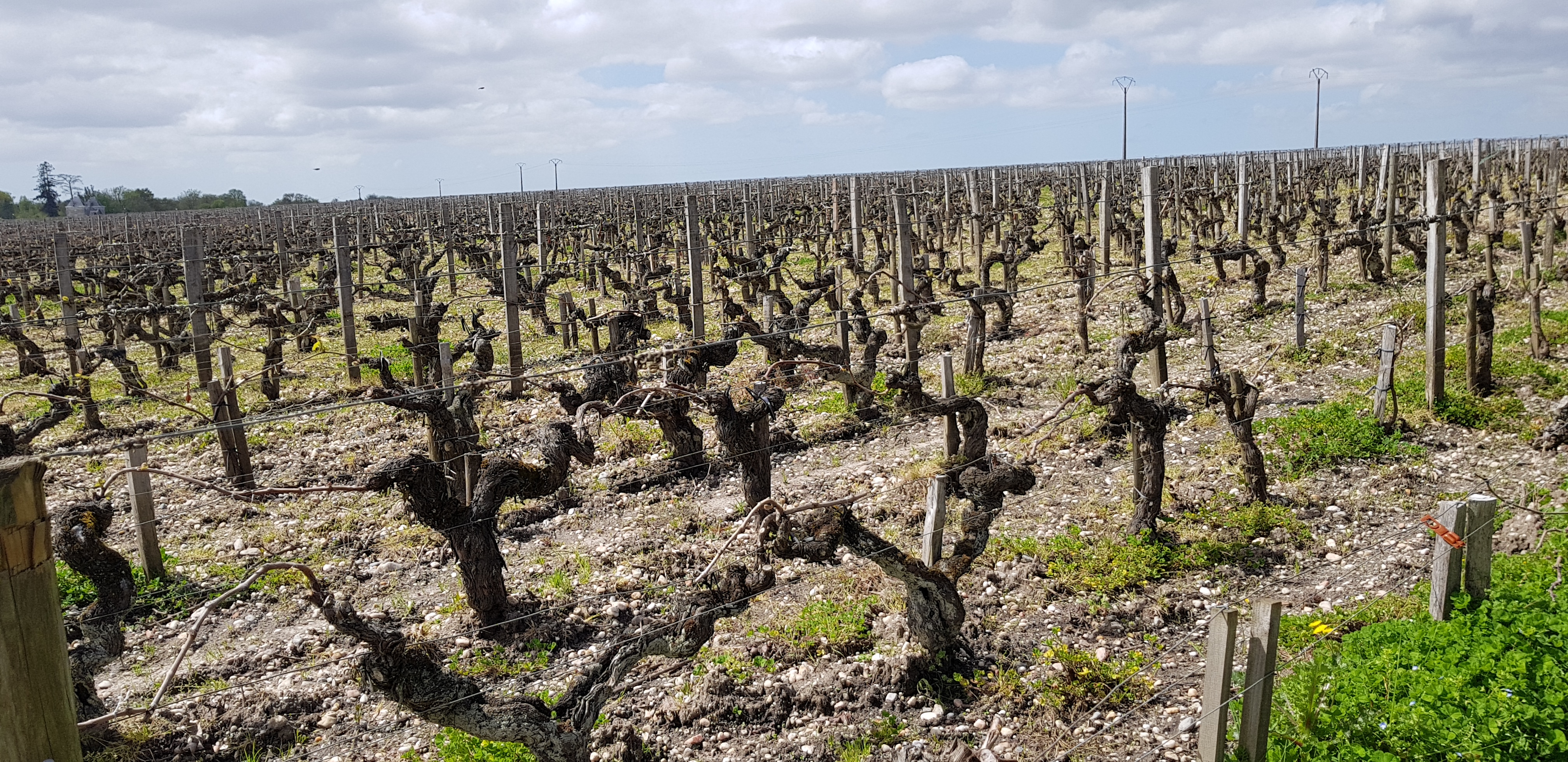 Photo n° 1 de l'avis de Rémy.o fait le 16/04/2018 à 14:34