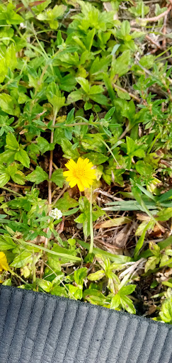 Park «Lake Stevens Park», reviews and photos, 5301 NW 183rd St, Miami Gardens, FL 33055, USA