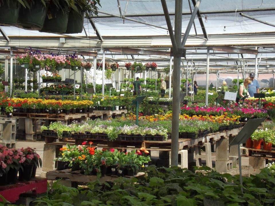 Premier Nursery