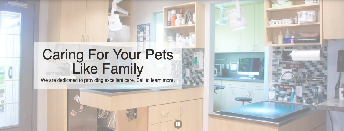 Cats & Dogs Animal Hospital