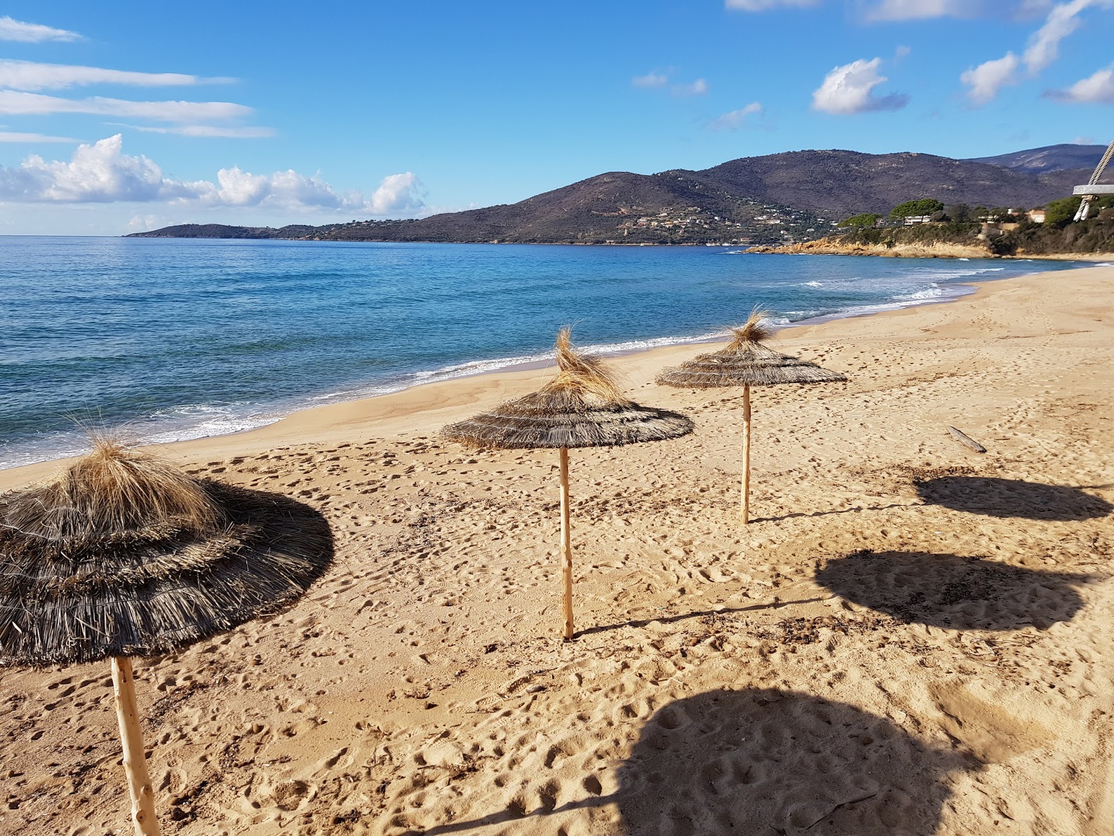 Santana beach photo #8