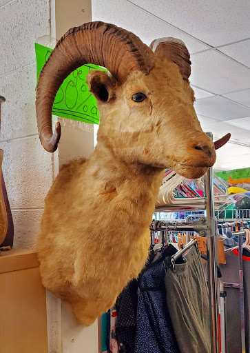 Thrift Store «Boyer Brothers Second Hand», reviews and photos, 1123 S Prairie Ave, Pueblo, CO 81005, USA