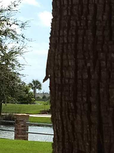 Coffee Shop «Sugar Bean Coffee and Cream», reviews and photos, 11 Evia Main, Galveston, TX 77554, USA