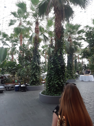 Video Game Store «GameStop», reviews and photos, 2084 Orchard Rd, Montgomery, IL 60538, USA