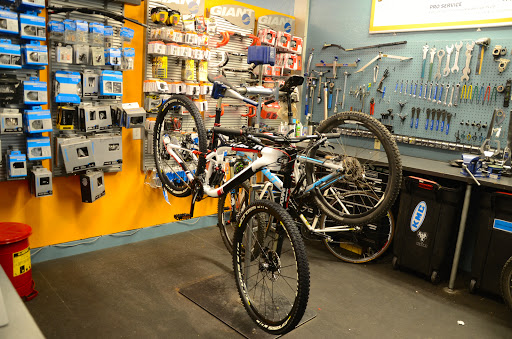 Bicycle Store «Windsor Bicycle Center», reviews and photos, 830 McClelland Dr, Windsor, CA 95492, USA
