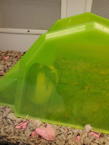 Pet Supply Store «Petco Animal Supplies», reviews and photos, 852 N Western Ave, San Pedro, CA 90732, USA