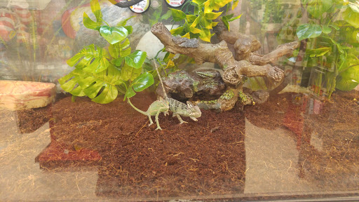 Pet Supply Store «Petco Animal Supplies», reviews and photos, 13127 N Dale Mabry Hwy, Tampa, FL 33618, USA