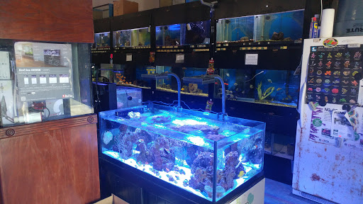 Pet Store «Aquarium & Reef Center», reviews and photos, 231 Del Prado Blvd, Cape Coral, FL 33990, USA