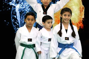 Salinas Taekwondo Academy image
