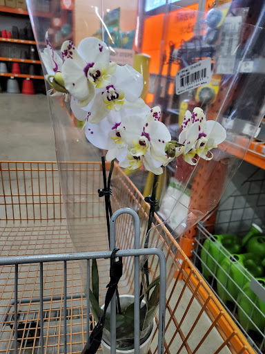 Home Improvement Store «The Home Depot», reviews and photos, 810 S Taylor St, Green Bay, WI 54303, USA