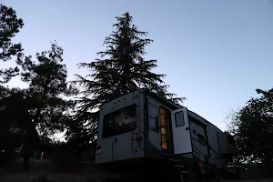 Sequoia Forest Retreat image