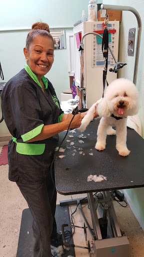 Pet Groomer «ITIG Happy Dog Wash», reviews and photos, 6465 S Chickasaw Trail, Orlando, FL 32829, USA