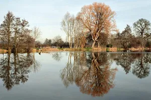 Castle Ashby Fisheries image