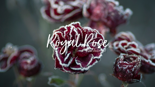 Opinii despre Royal Rose Bucharest în <nil> - Florărie