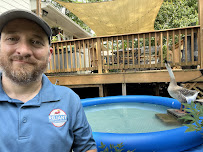 Reliant Pest Management - Photo 9 - Car repair in , Raleigh