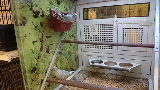 Pet Supply Store «PetSmart», reviews and photos, 1125 Hover St, Longmont, CO 80501, USA