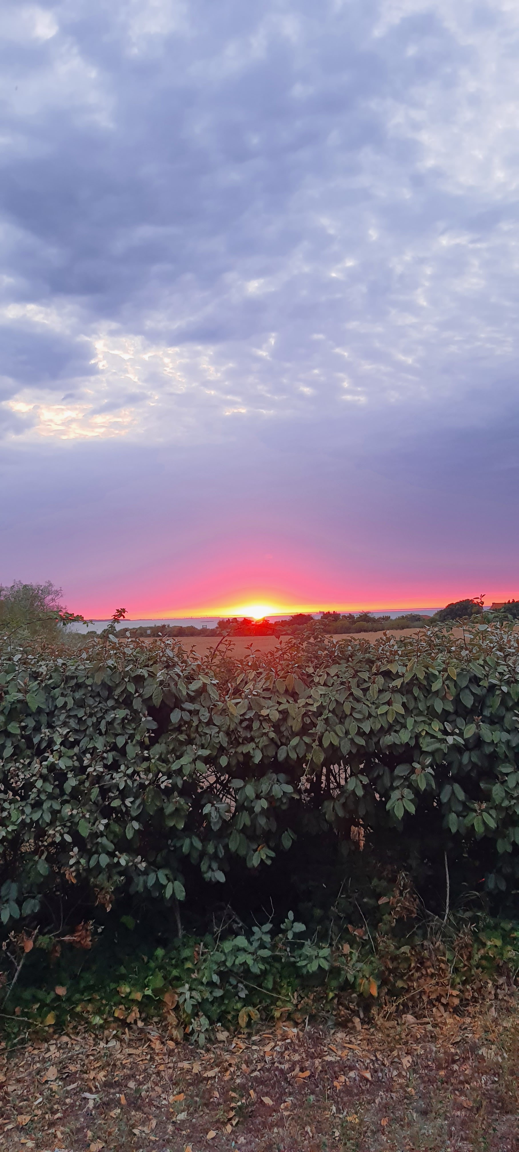 Photo n° 1 de l'avis de Eric.o fait le 20/08/2022 à 21:15