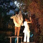 Photo n°6 de l'avis de Rüdiger.l fait le 27/07/2023 à 13:19 sur le  Galerie Hotel Leipziger Hof à Leipzig