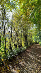 Natur- und Sportfreunde e.V. Aachen